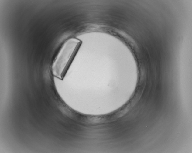 X0000114431314200910161024