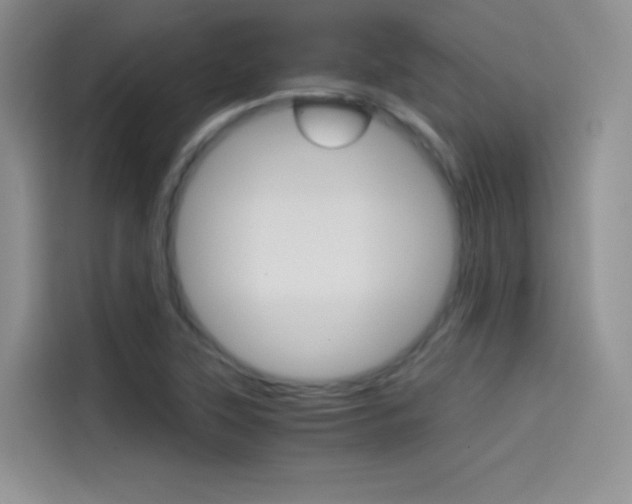 X0000114431315200910161024
