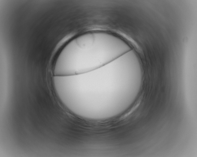 X0000114431317200910161024