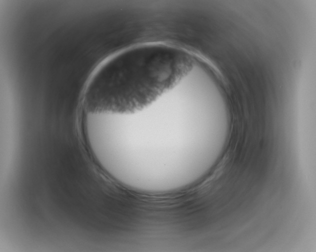 X0000114431319200910161024