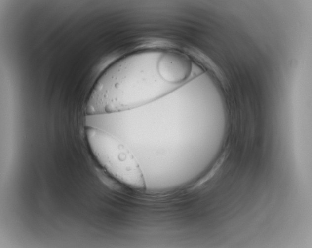 X0000114431321200910161024