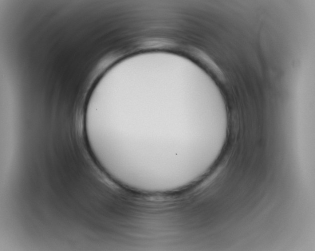 X0000114431322200910161024