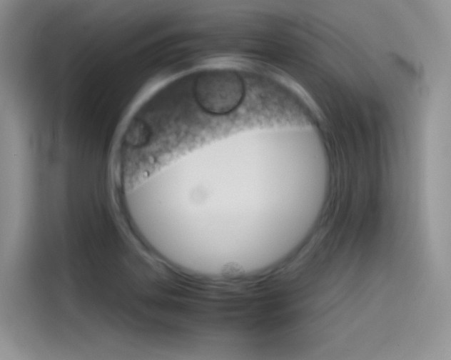 X0000114431323200910161024