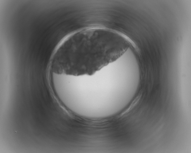 X0000114431325200910161024