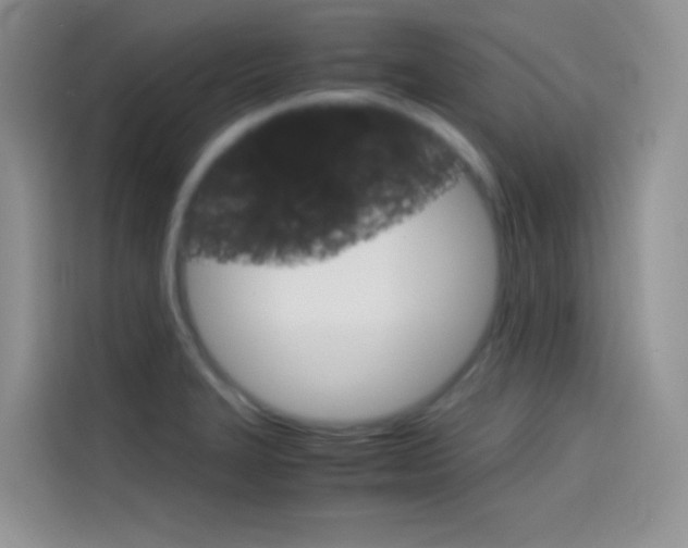 X0000114431327200910161024