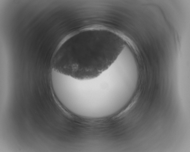 X0000114431329200910161024