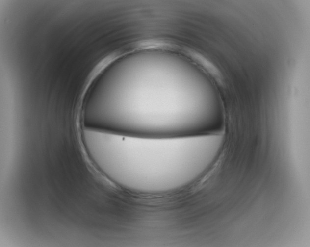 X0000114431330200910161024