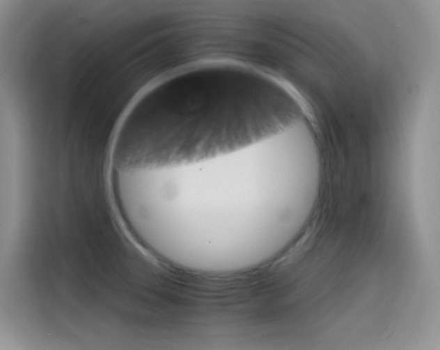 X0000114431331200910161024
