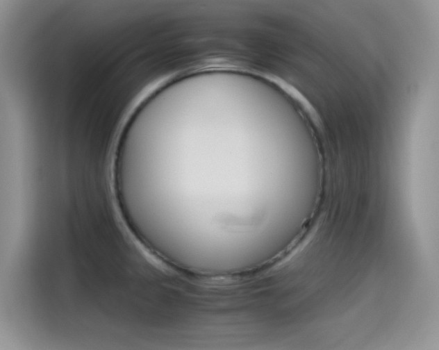 X0000114431333200910161024