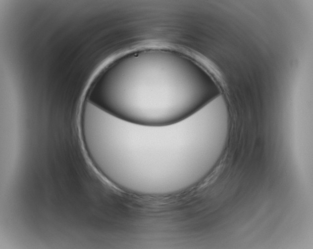 X0000114431334200910161024