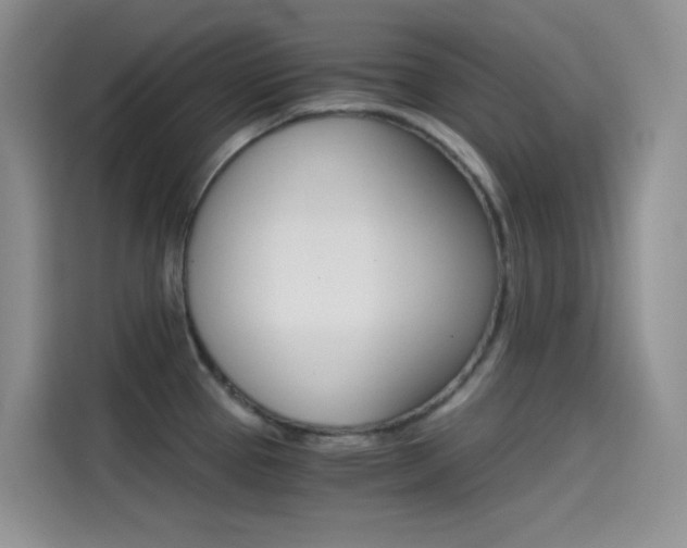 X0000114431337200910161024