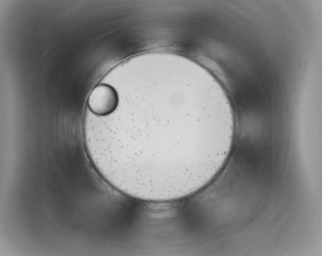 X0000114431338200910161024