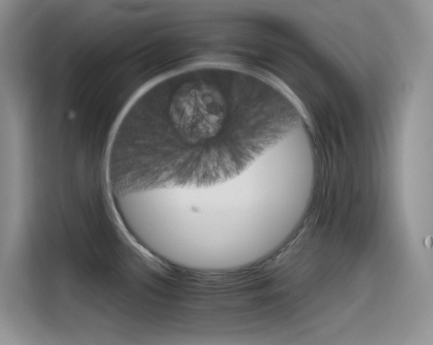 X0000114431339200910161024