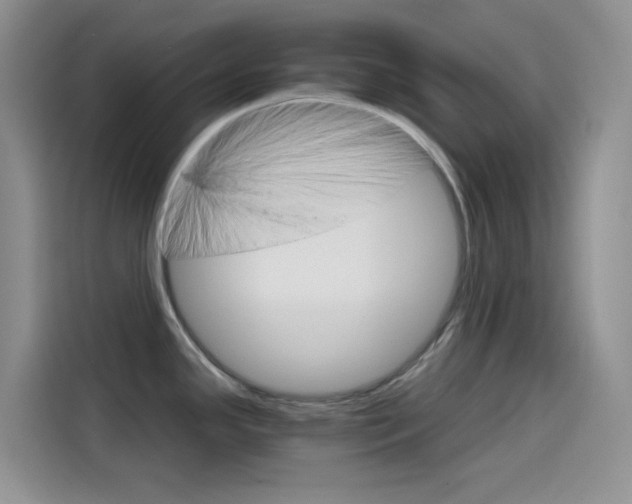 X0000114431341200910161024