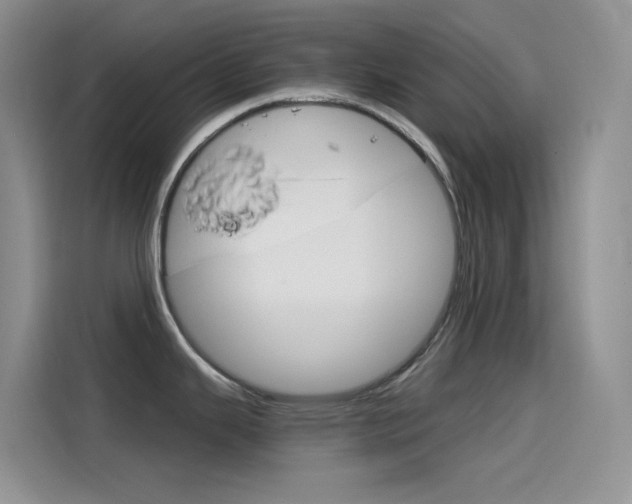 X0000114431343200910161024