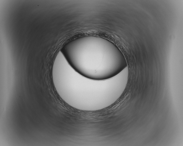 X0000114431345200910161024