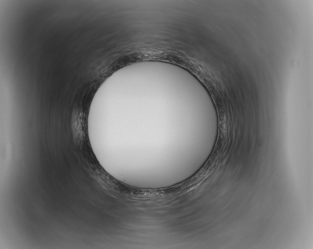X0000114431346200910161024