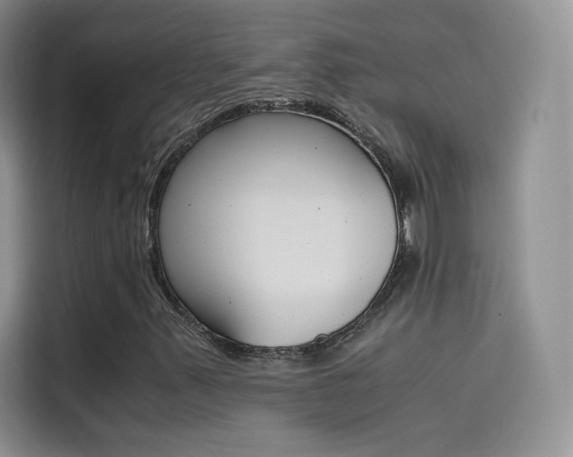 X0000114431347200910161024