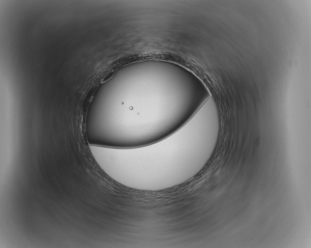 X0000114431348200910161024