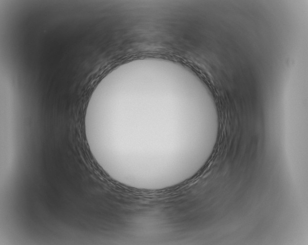 X0000114431349200910161024
