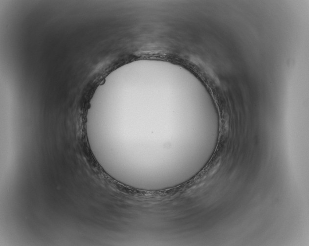 X0000114431350200910161024