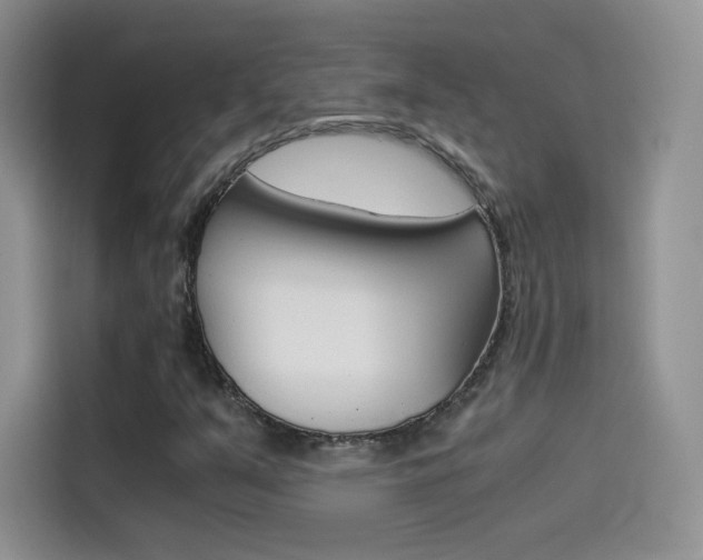 X0000114431351200910161024