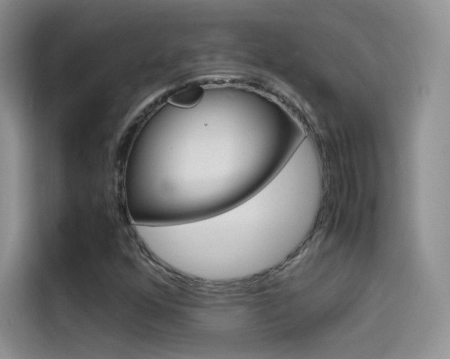 X0000114431352200910161024