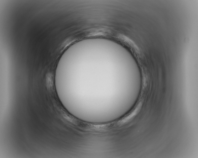 X0000114431353200910161024