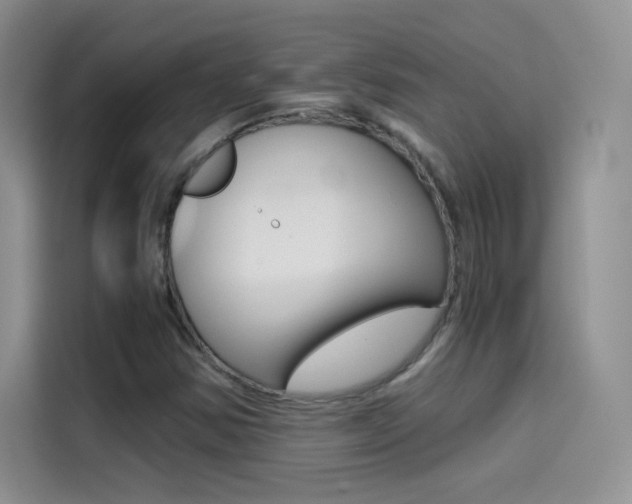 X0000114431354200910161024
