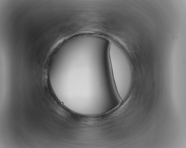 X0000114431355200910161024