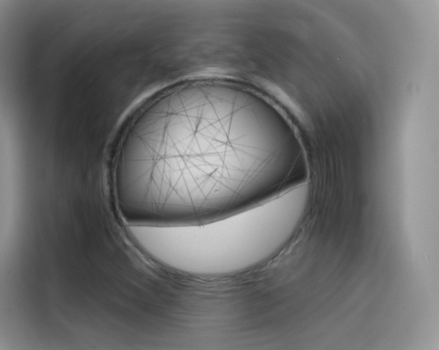 X0000114431356200910161024