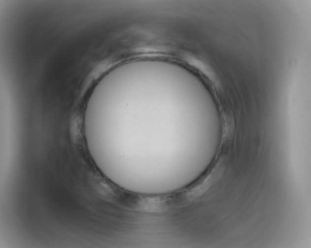 X0000114431357200910161024