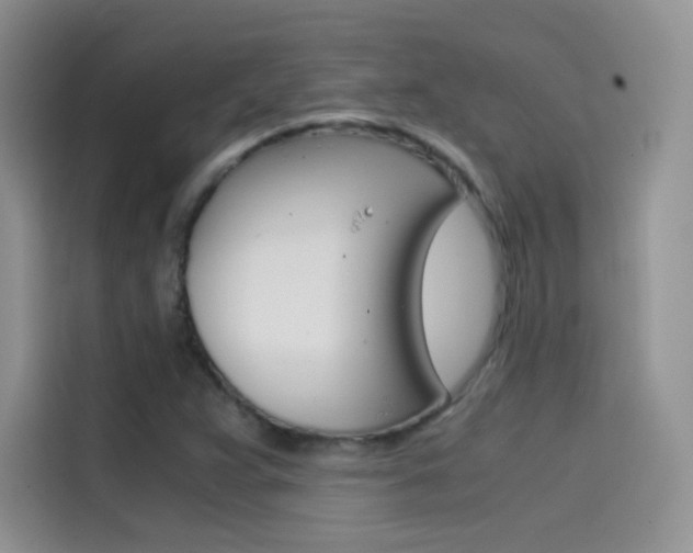 X0000114431359200910161023