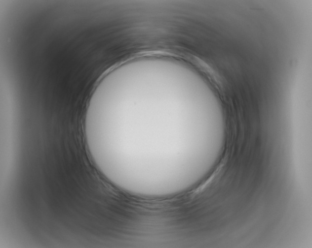 X0000114431361200910161023