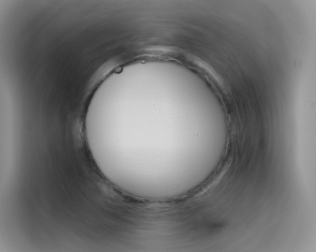 X0000114431362200910161023