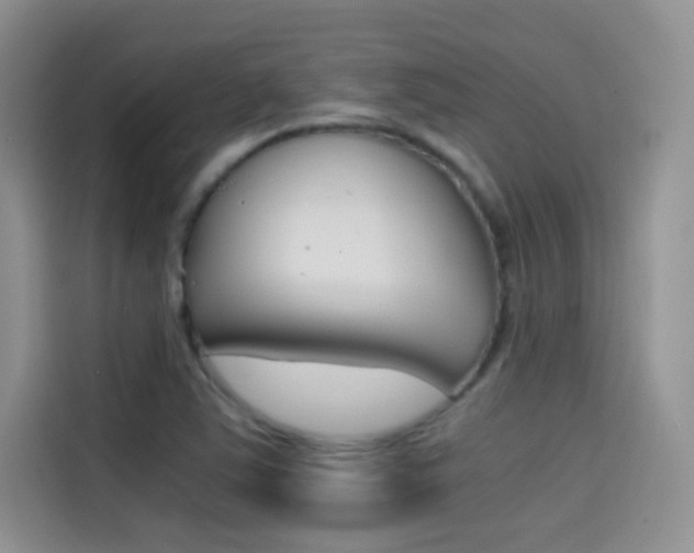X0000114431363200910161023