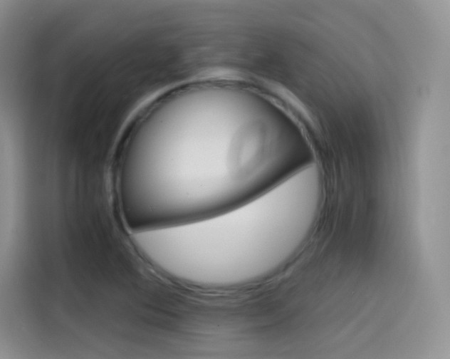 X0000114431364200910161023