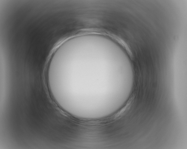 X0000114431365200910161023
