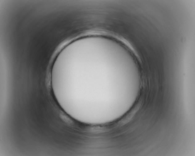 X0000114431366200910161023