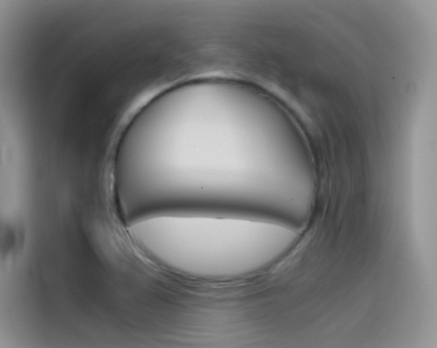 X0000114431367200910161023