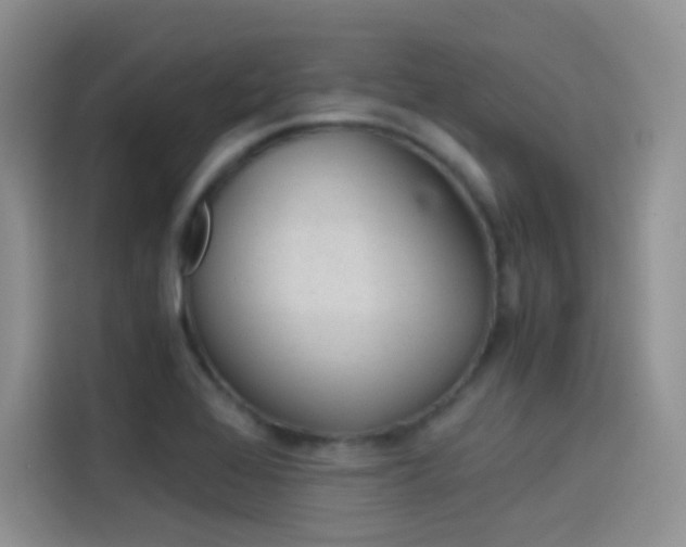 X0000114431368200910161023