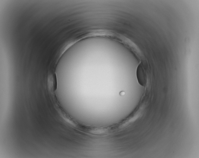 X0000114431369200910161023