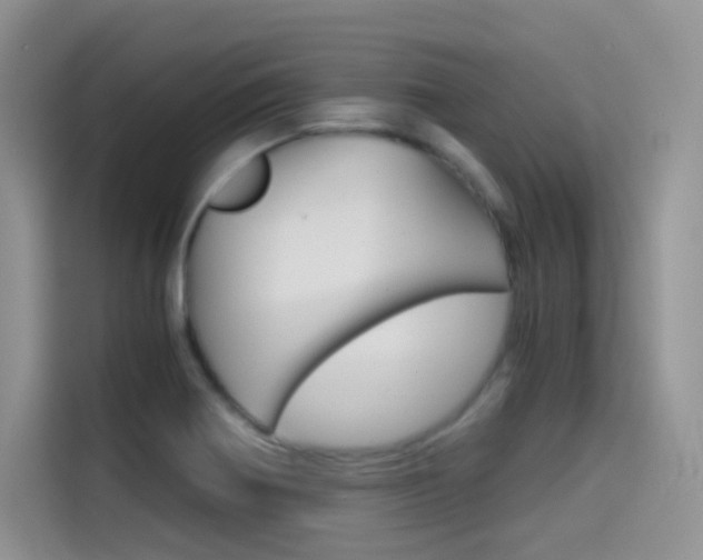 X0000114431370200910161023