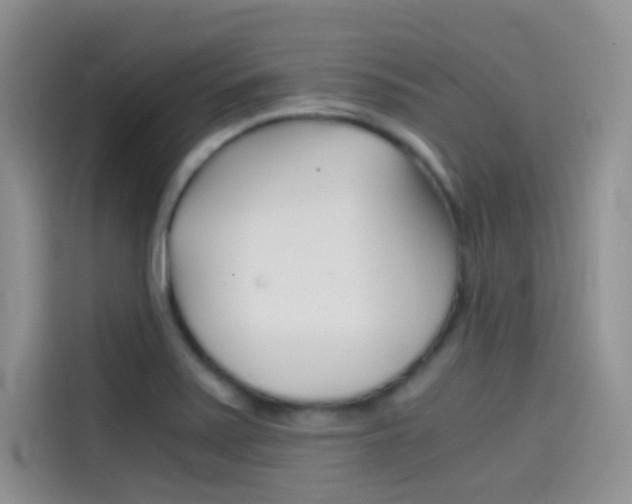X0000114431371200910161023