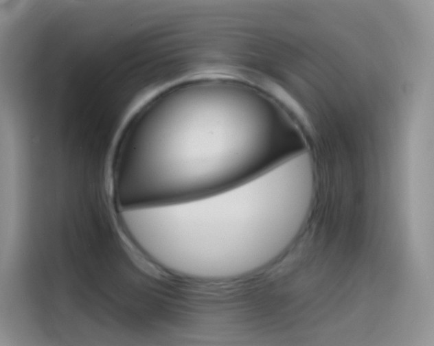 X0000114431372200910161023