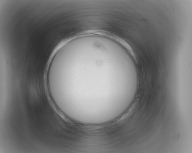 X0000114431373200910161023