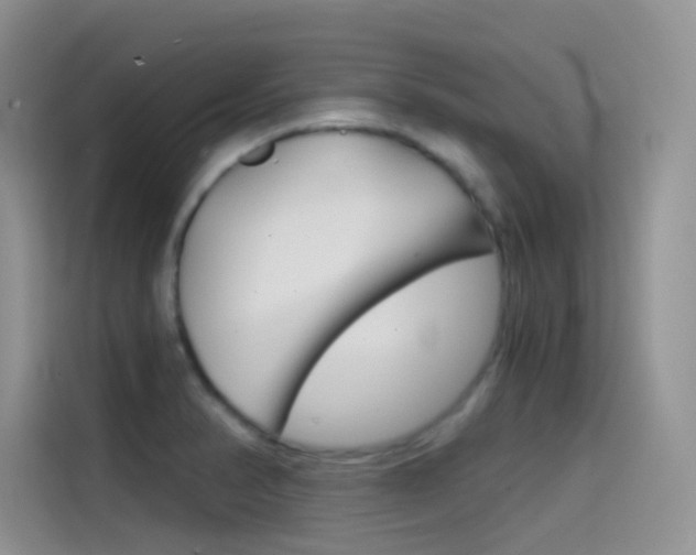 X0000114431374200910161023