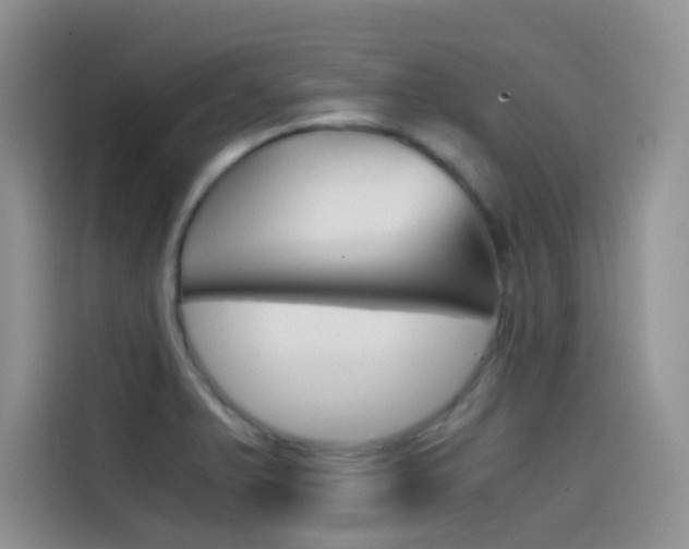 X0000114431375200910161023