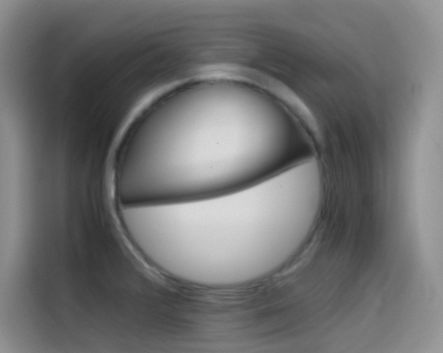 X0000114431376200910161023