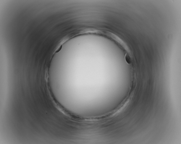 X0000114431377200910161023